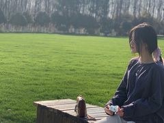 -合肥滨湖国家森林公园