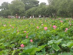 -石湖景区