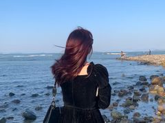 -杨梅坑