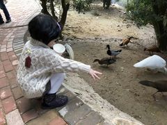 -泉州海丝野生动物世界