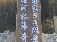 -汤旺河林海奇石景区
