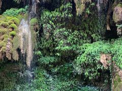 -丹江风景名胜区