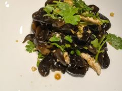 -洞庭家宴·头牌甲鱼(广渠门店)