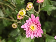 -共青国家森林公园-南大门停车场