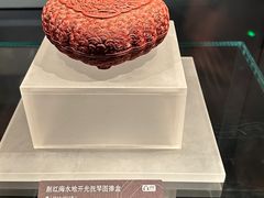 -广西壮族自治区博物馆