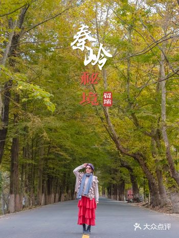 【旅】秦岭秘境留坝的旅游全攻略