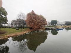 -尚贤河湿地