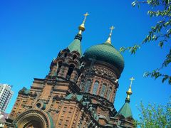 -哈尔滨文化公园