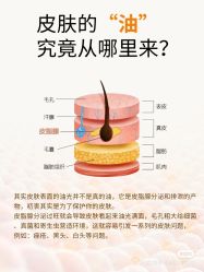 点击看大图 -玛莲朵·海菲秀冰珀科