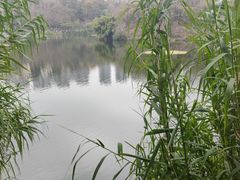 -重庆彩云湖湿地公园