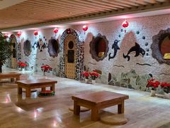 -碧中海汤泉汗蒸酒店