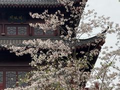 -堤角公园