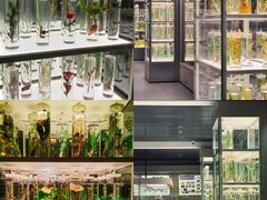 -北京中医药大学-中医药博物馆