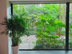 -杭州植物园