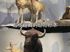 -中国湿地博物馆