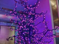 -迪迪派KTV(创业大厦店)