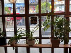-Cafe Alice咖啡爱丽丝(奥城店)
