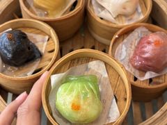 -雅香园·30年老字号顺德酒家(乐从岳步店)