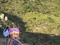 -西涌国际滨海旅游区