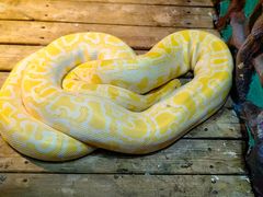 -石家庄市动物园