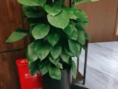 -南城故事柔式幻装Spa·按摩养生馆(世纪城店)