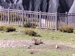 -墨石公园景区