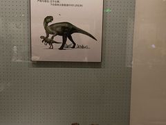 -辽宁古生物博物馆