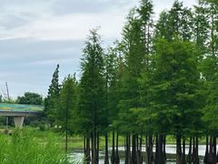 -白鹭湾湿地公园