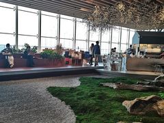 -Seesaw Coffee(朝阳大悦城店)