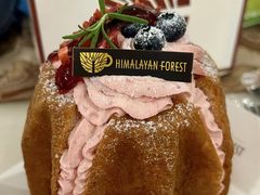 -喜马拉雅森HIMALAYAN FOREST