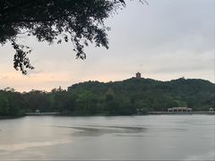 -广州雕塑公园