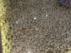 -狐狸和向日葵(北京路店)