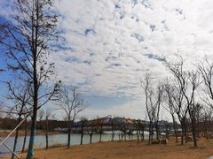 -南汇新城城市公园