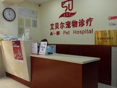 -艾贝尔宠物诊疗