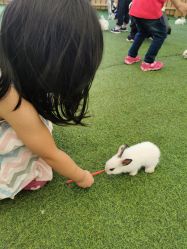 -萌宠亲子动物乐园(槐房万达店)