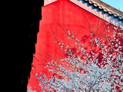 -钱王祠