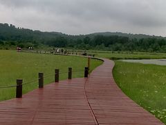 -御道口草原森林风景区