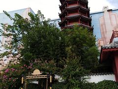 -青岛方特梦幻王国