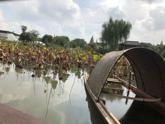 -鹅湖玫瑰文化园