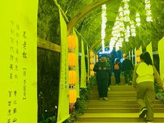 -秦岭天竺山生态文化旅游景区