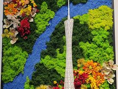 -云溪植物园