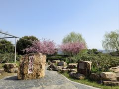 -尚湖风景区
