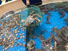 -福泉海码头(六里山店)