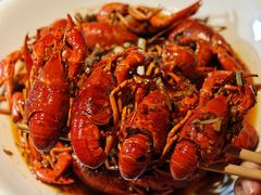 -杨氏青龙虾·羊蝎子(托乐嘉店)