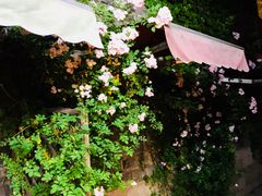 -品腐记·豆腐王朝(老门东总店)