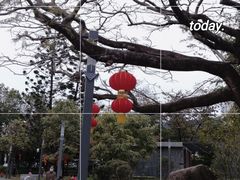 -四海公园(南山区)