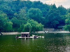 -北岭山森林公园