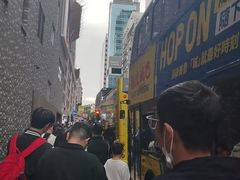 -Big Bus Tours 敞篷观光巴士