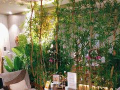 -施奈儿.洗头頭療.按摩SPA.采耳(上梅林店)