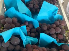 -马陆小张葡萄园农家乐